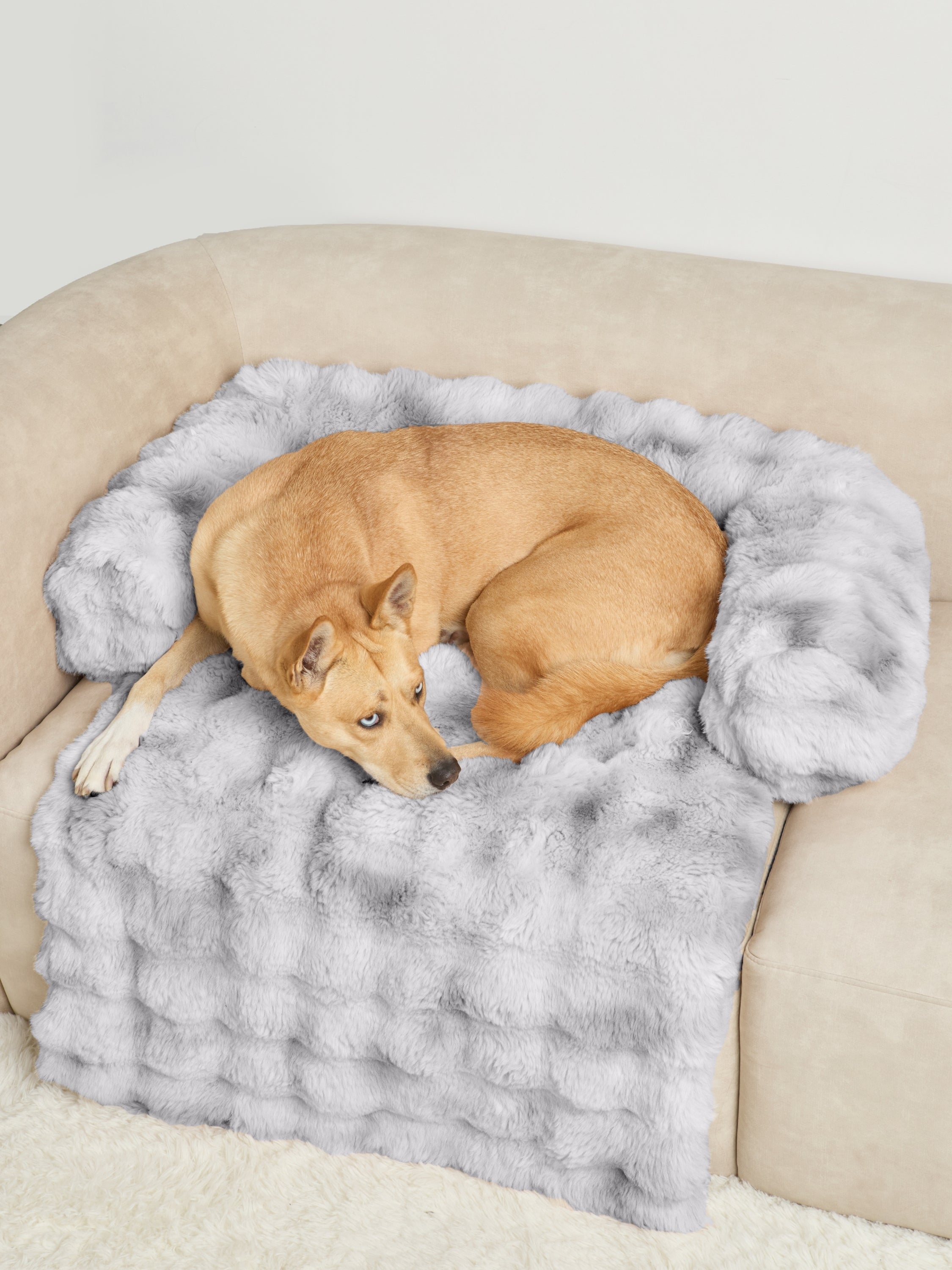 Dream Cloud Pet Sofa Bed