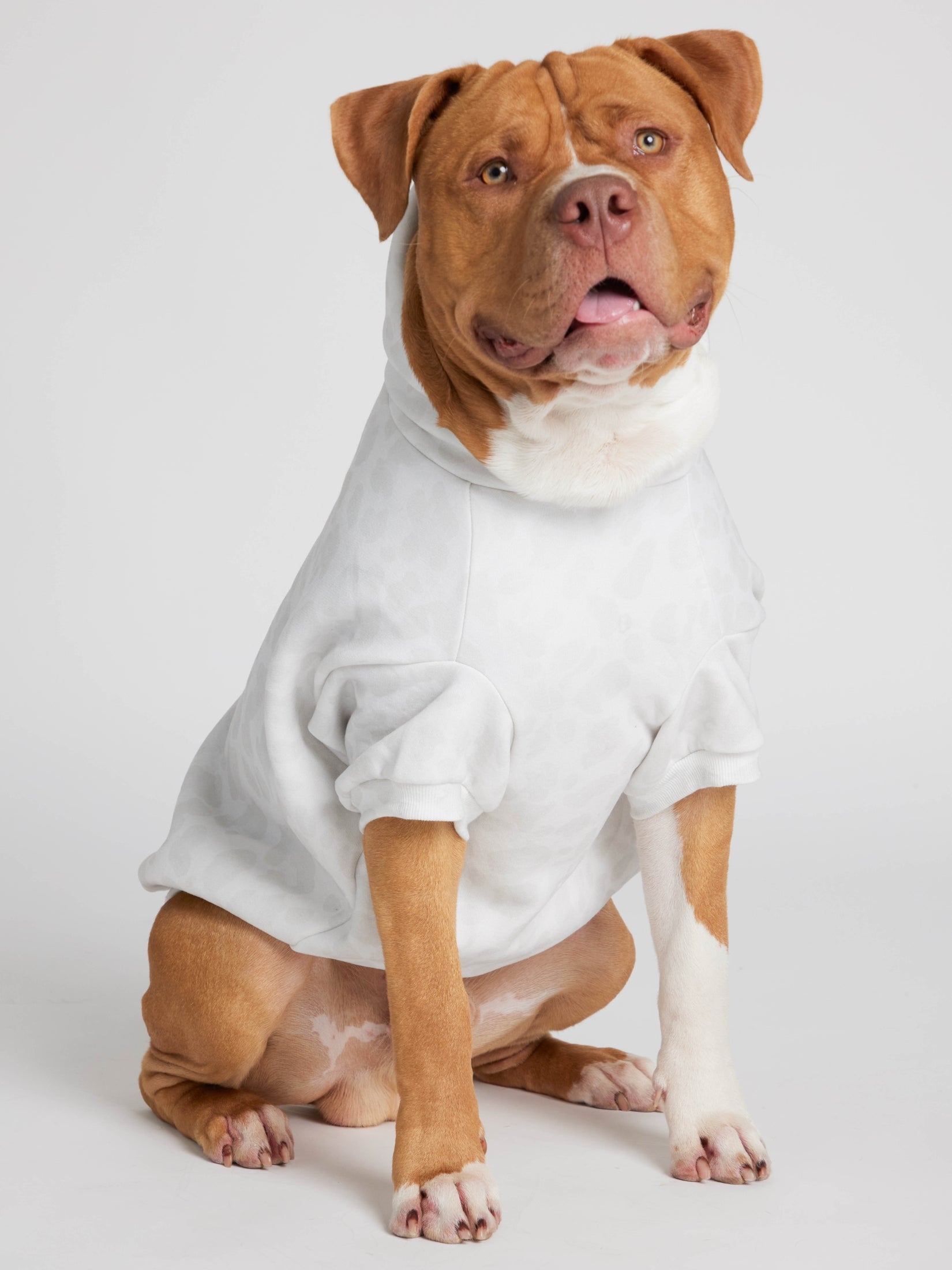 Minimalist Paw Hoodie - Pre-Order