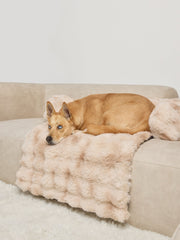 Dream Cloud Pet Sofa Bed - Pre Order