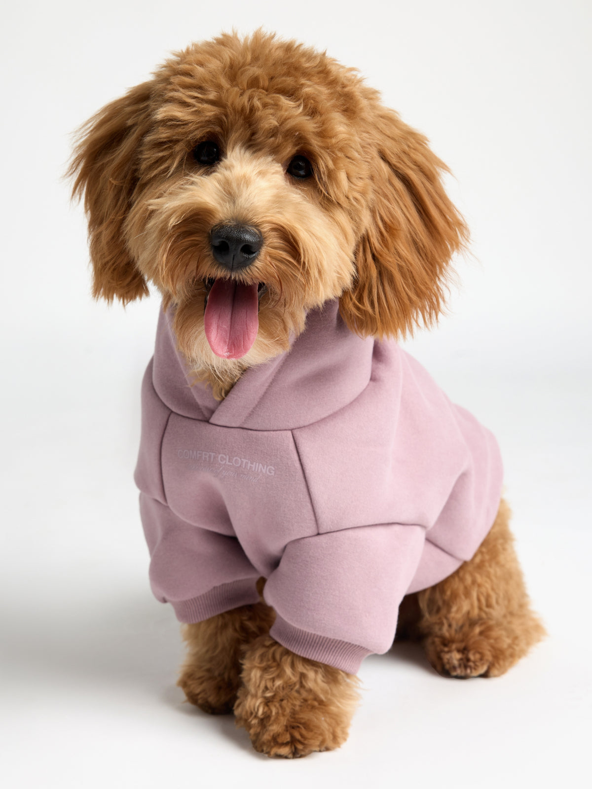 You Matter Paw Hoodie