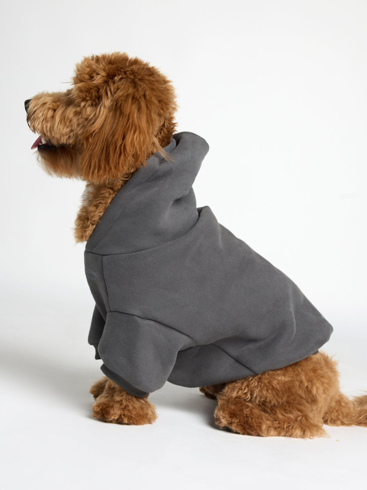 You Matter Paw Hoodie