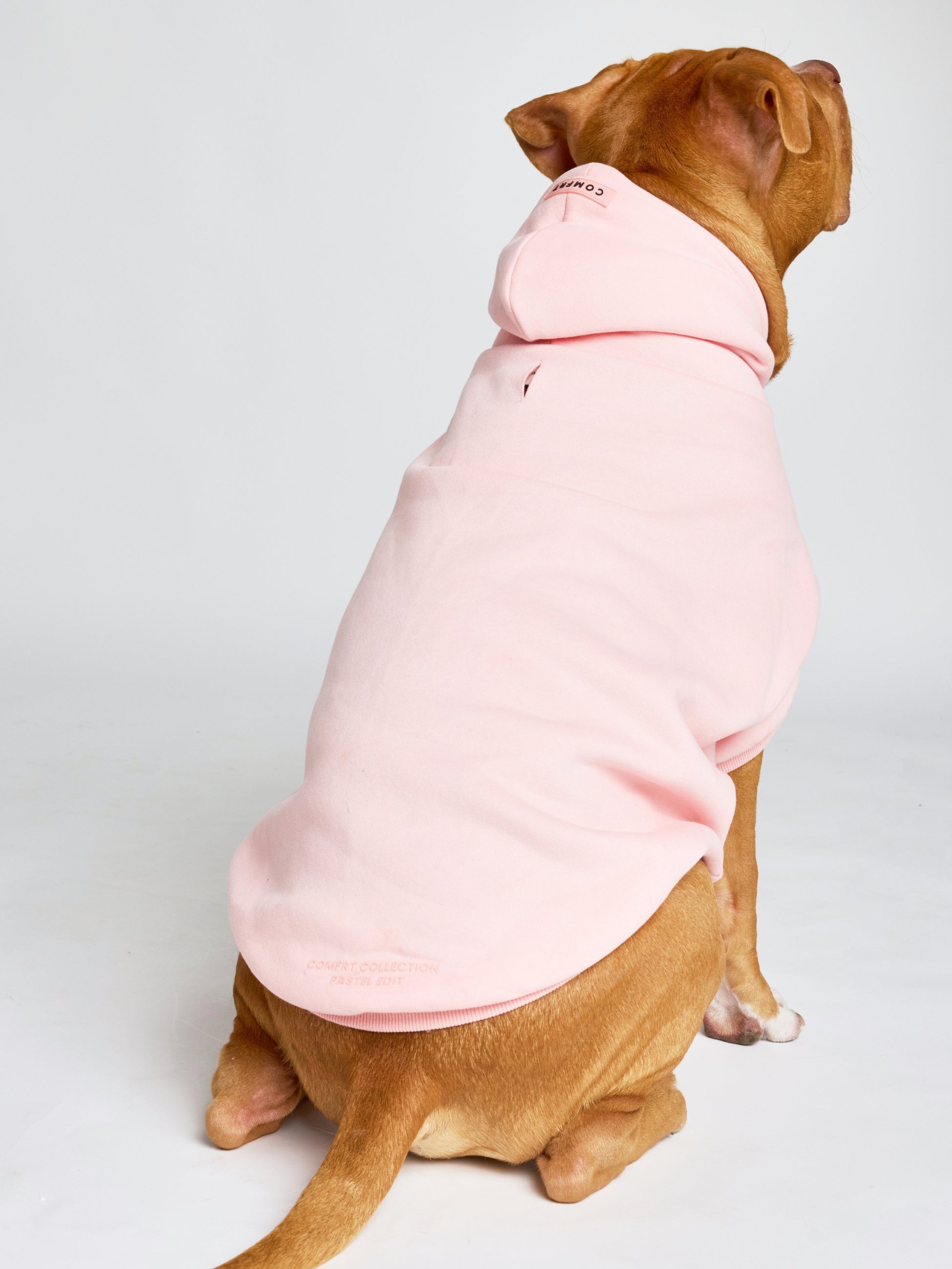 Pastel Paw Hoodie