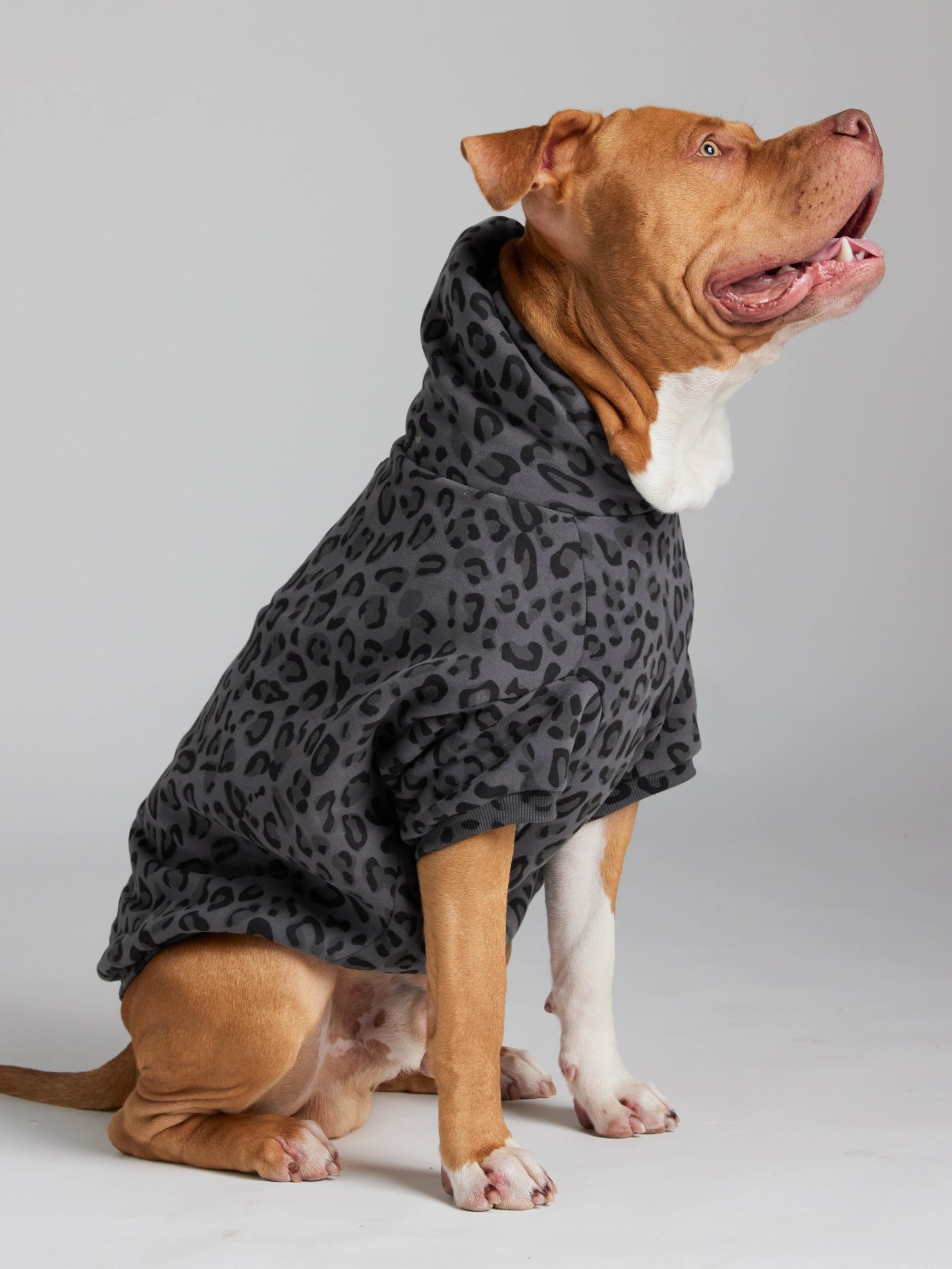 Minimalist Paw Hoodie - Pre-Order