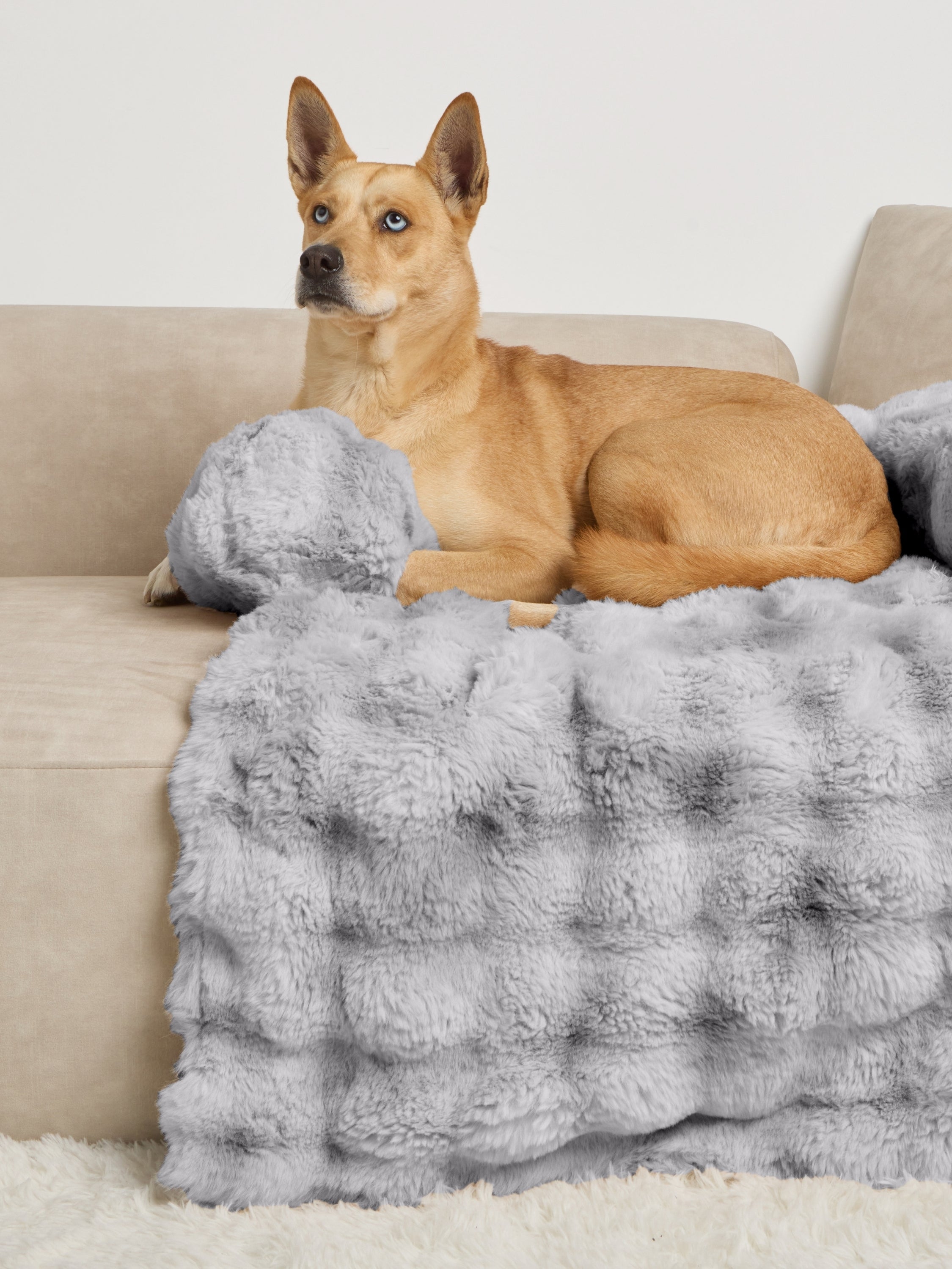Dream Cloud Pet Sofa Bed