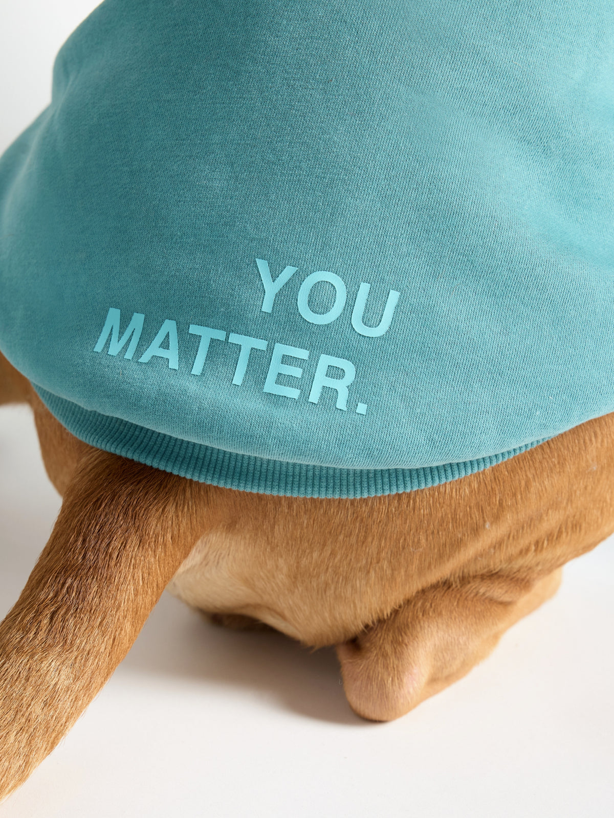 You Matter Paw Hoodie
