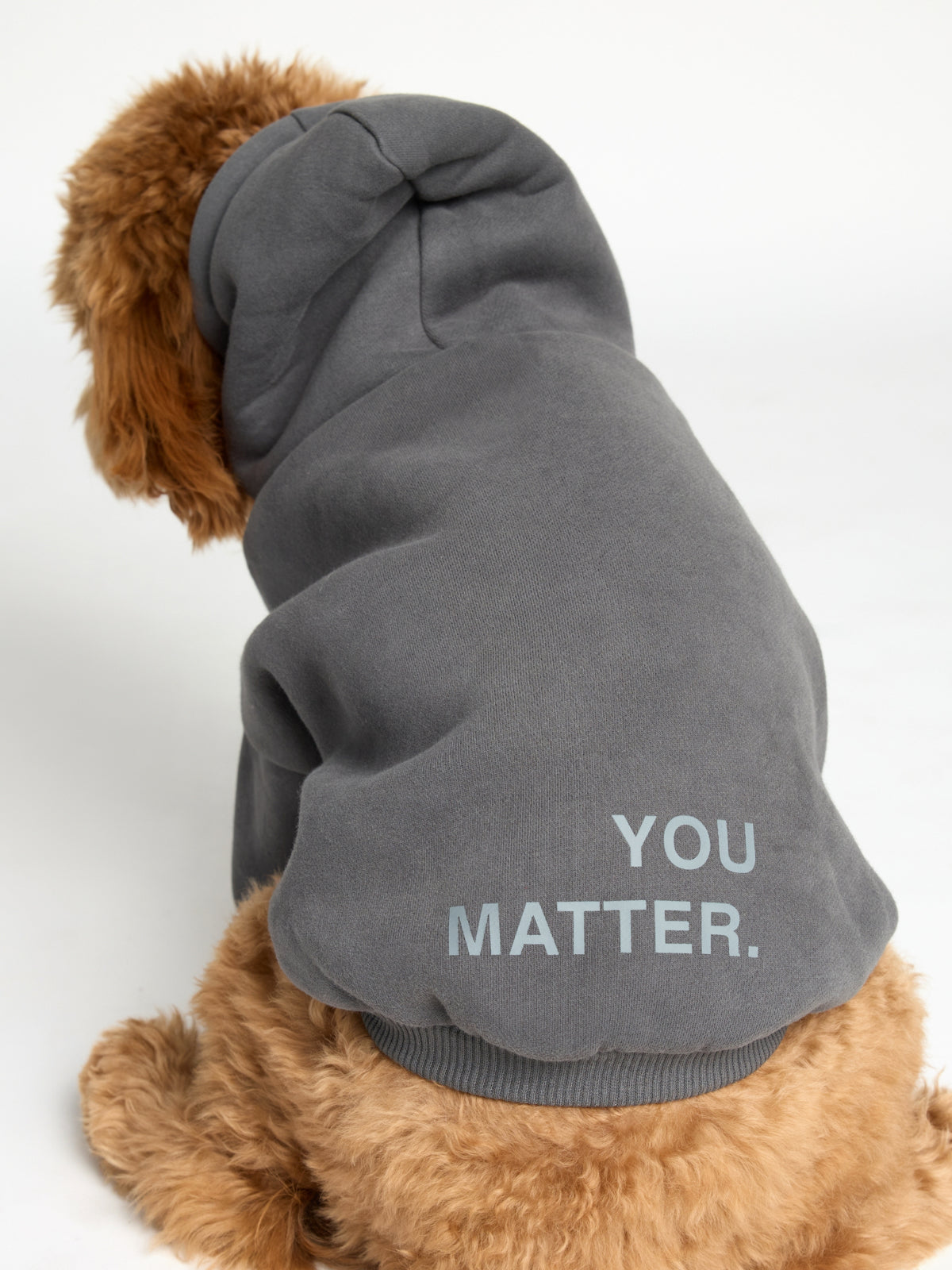 You Matter Paw Hoodie
