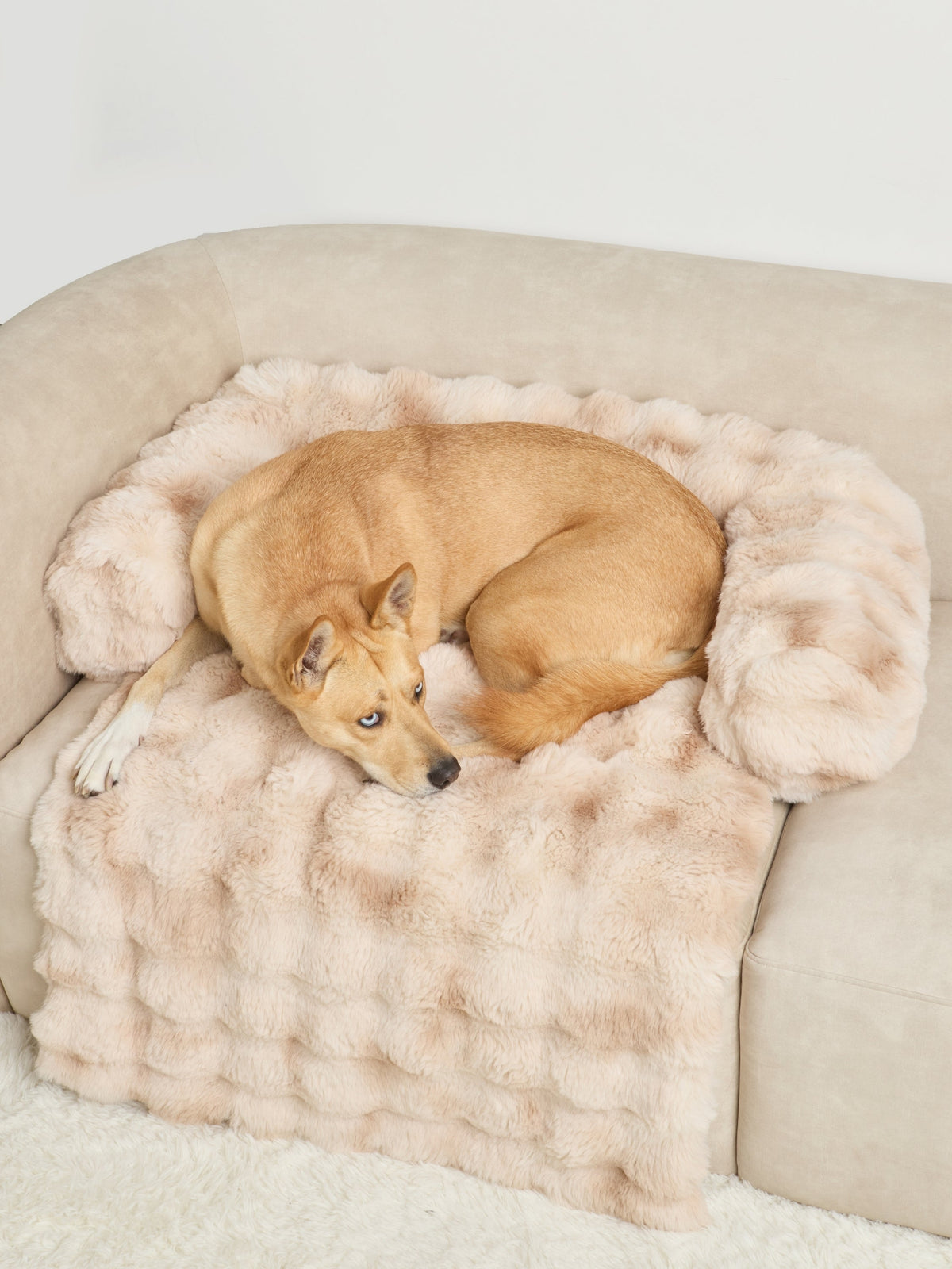 Dream Cloud Pet Sofa Bed