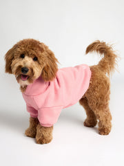 You Matter Paw Hoodie