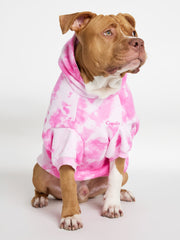 Minimalist Paw Hoodie - Pre-Order