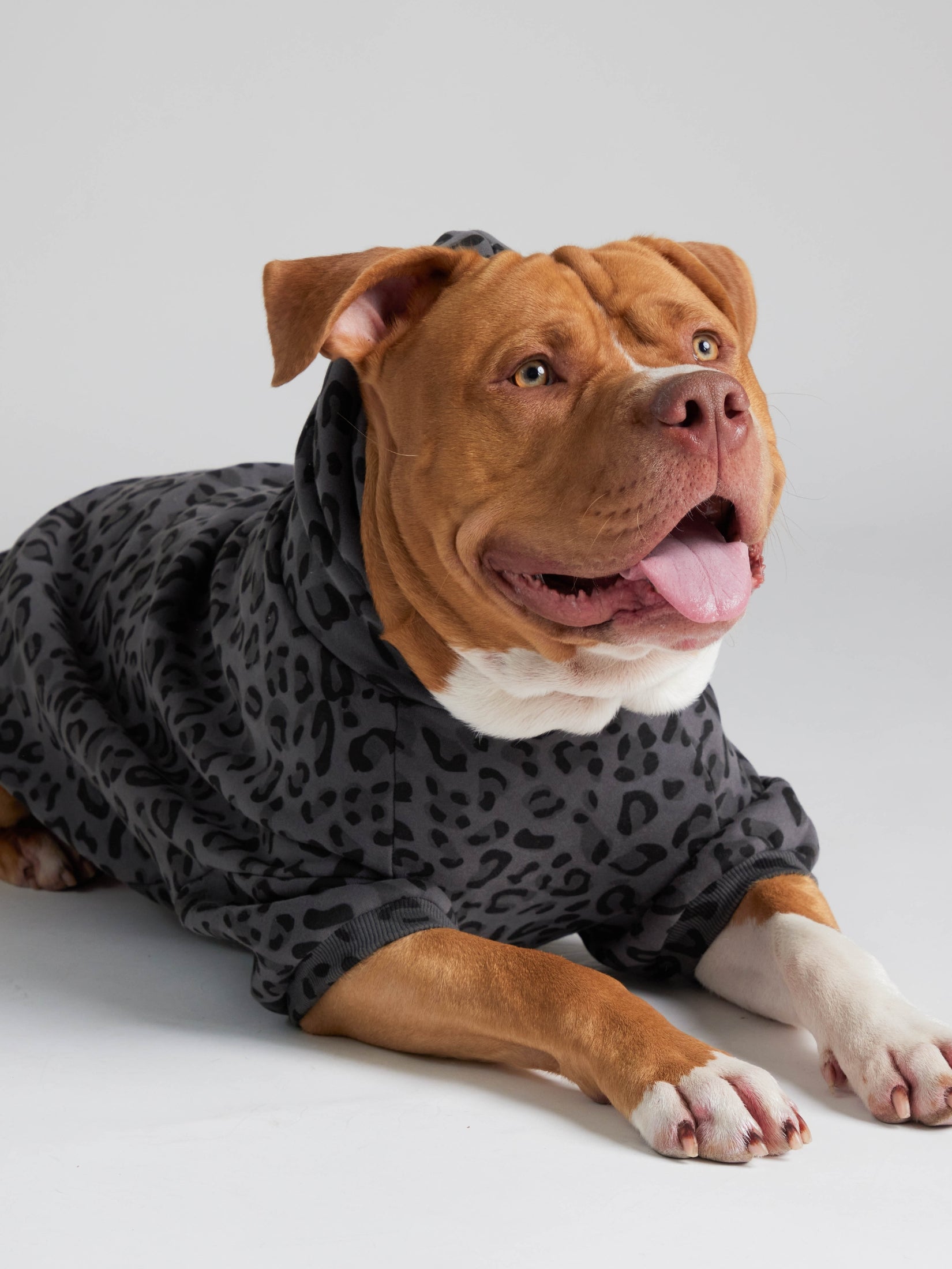 Minimalist Paw Hoodie