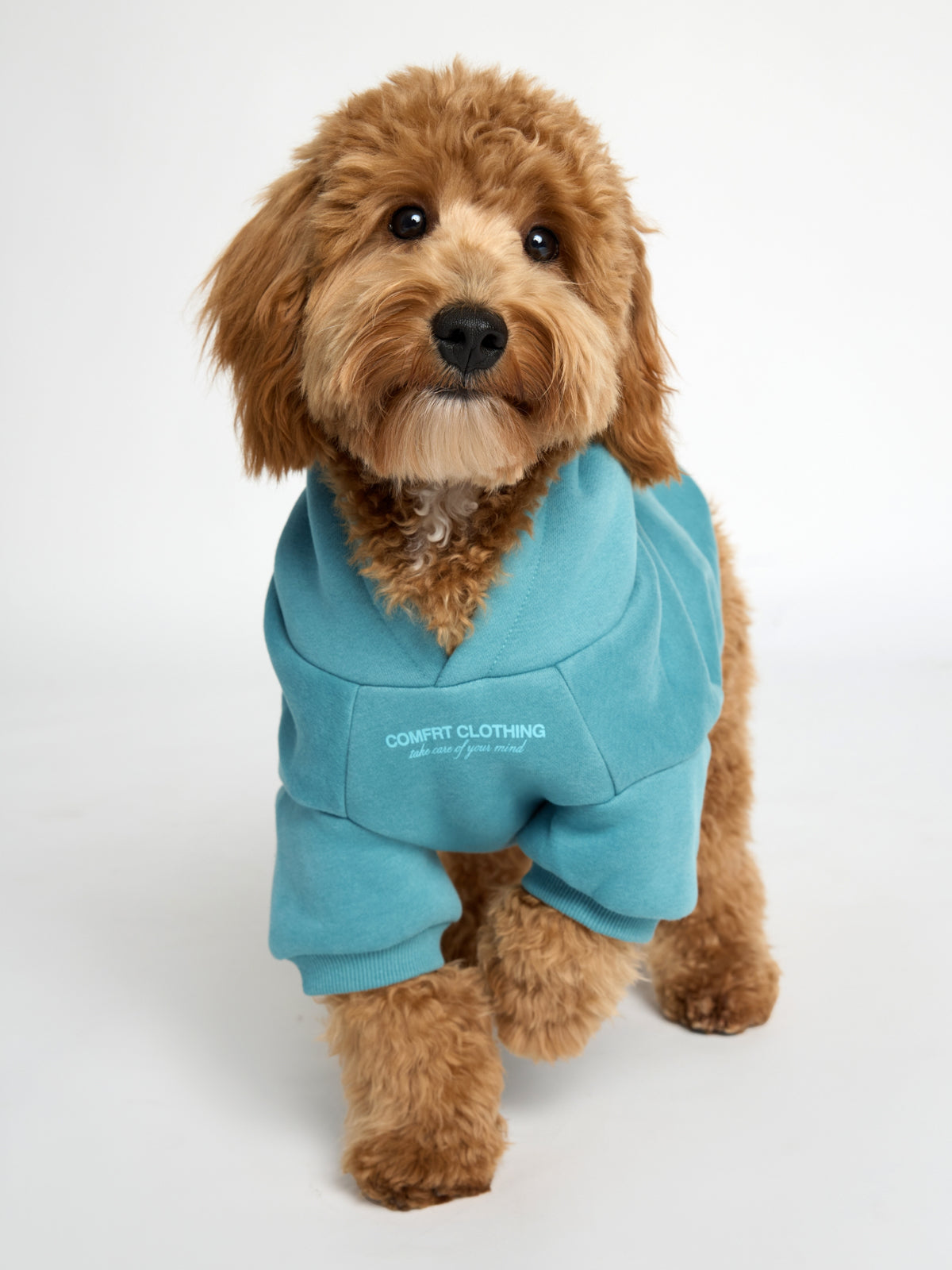 You Matter Paw Hoodie