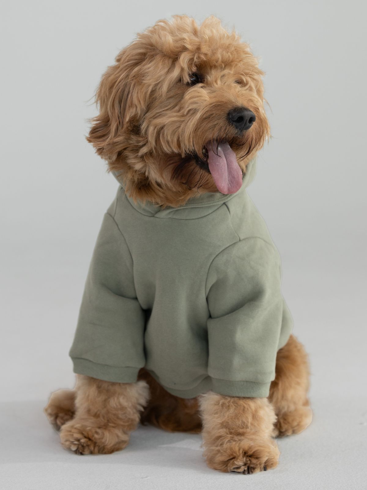Coordinate Paw Hoodie - Pre-Order