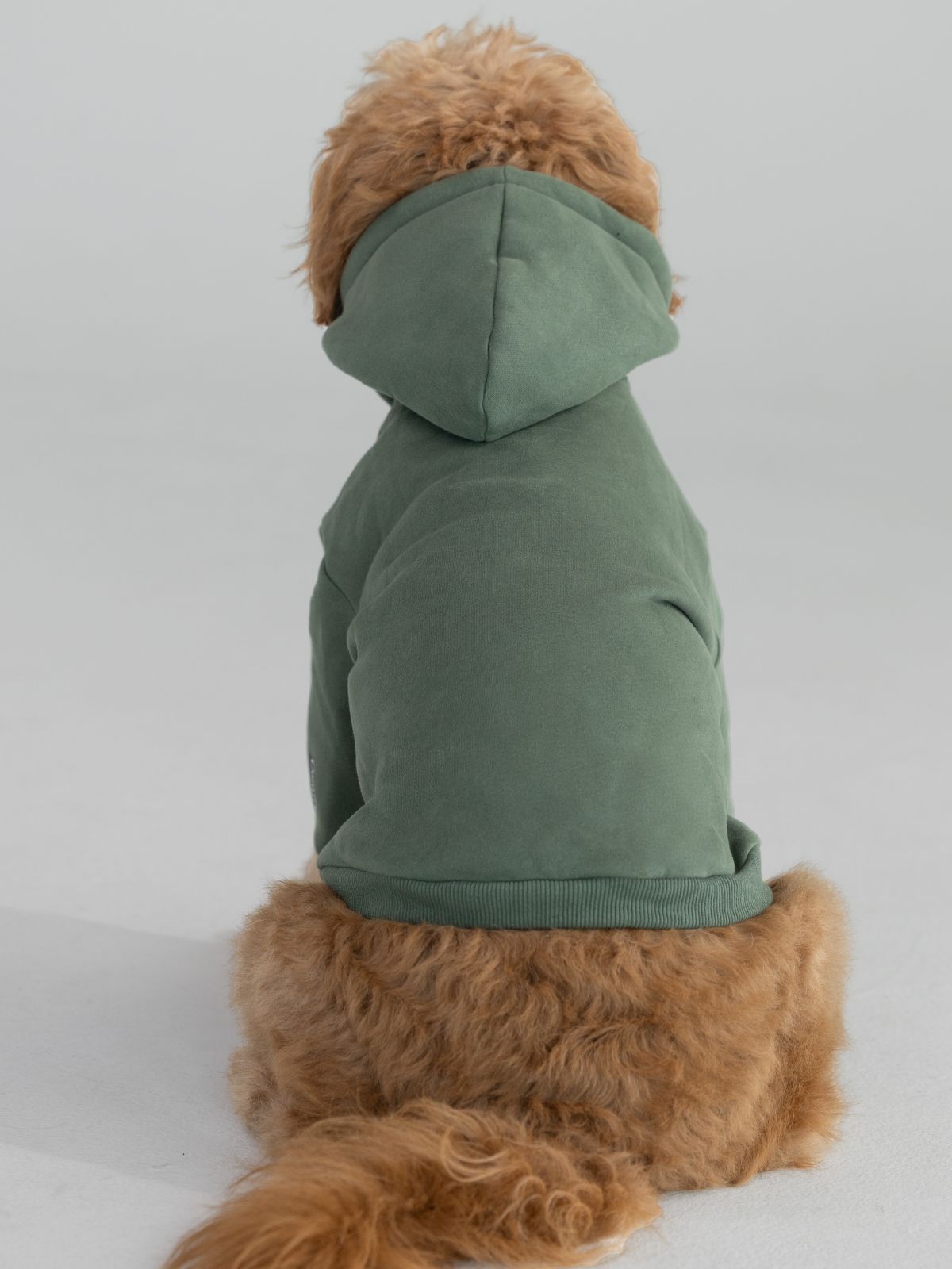 Standard Paw Hoodie - Pre-Order