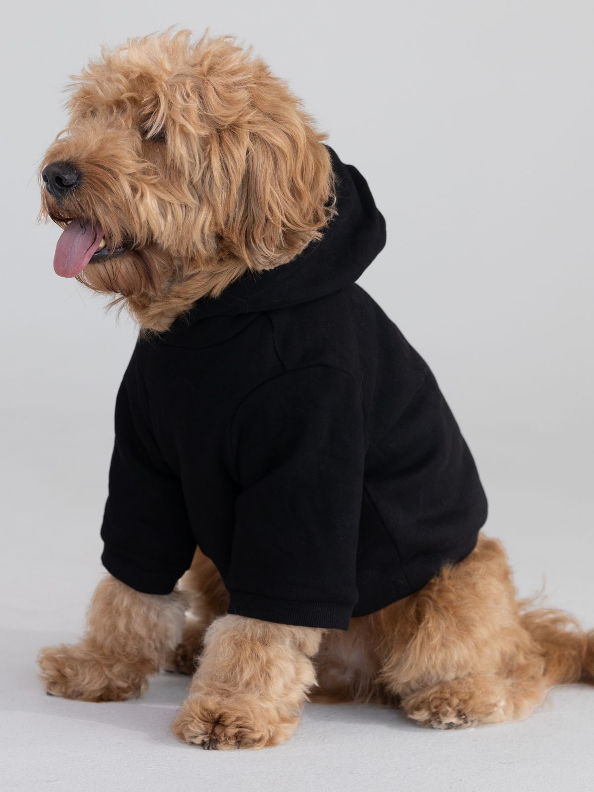Tranquil Paw Hoodie -Pre-Order