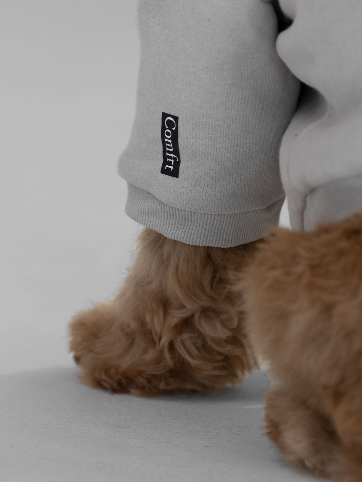 Standard Paw Hoodie