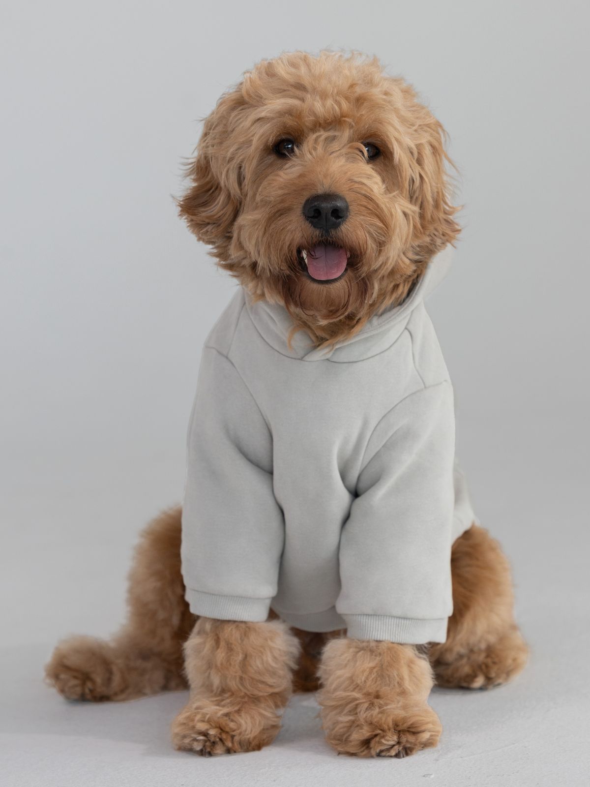 Coordinate Paw Hoodie - Pre-Order