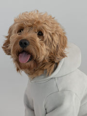 Tranquil Paw Hoodie -Pre-Order