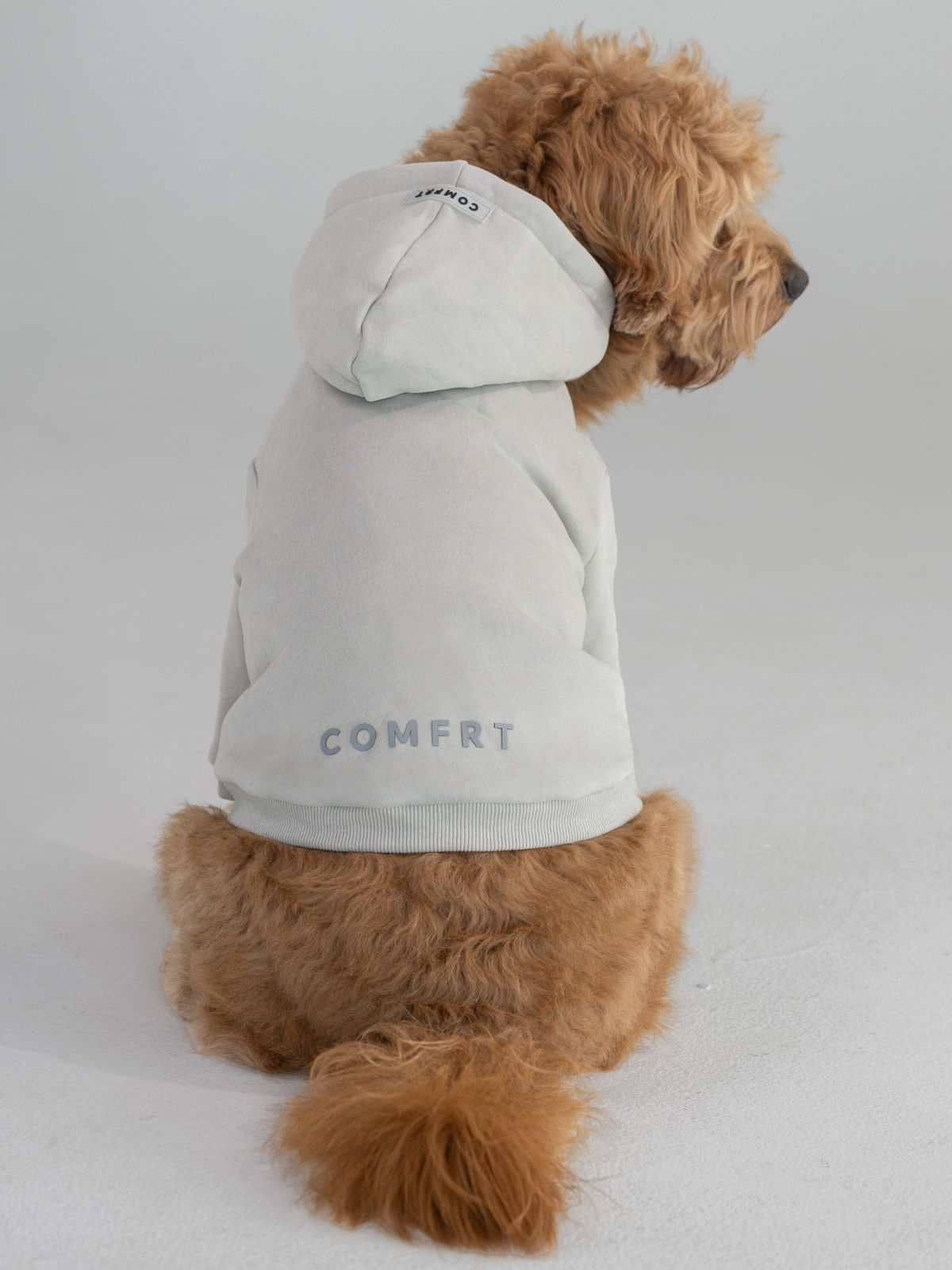 Tranquil Paw Hoodie -Pre-Order