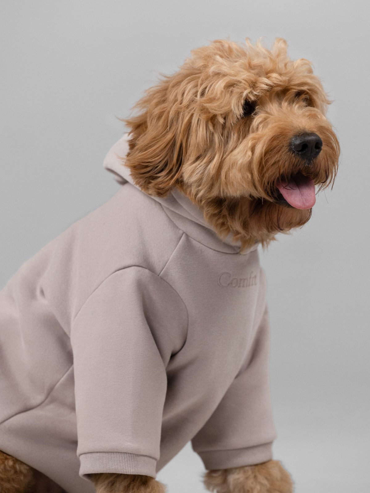 Signature Paw Hoodie -Pre Order