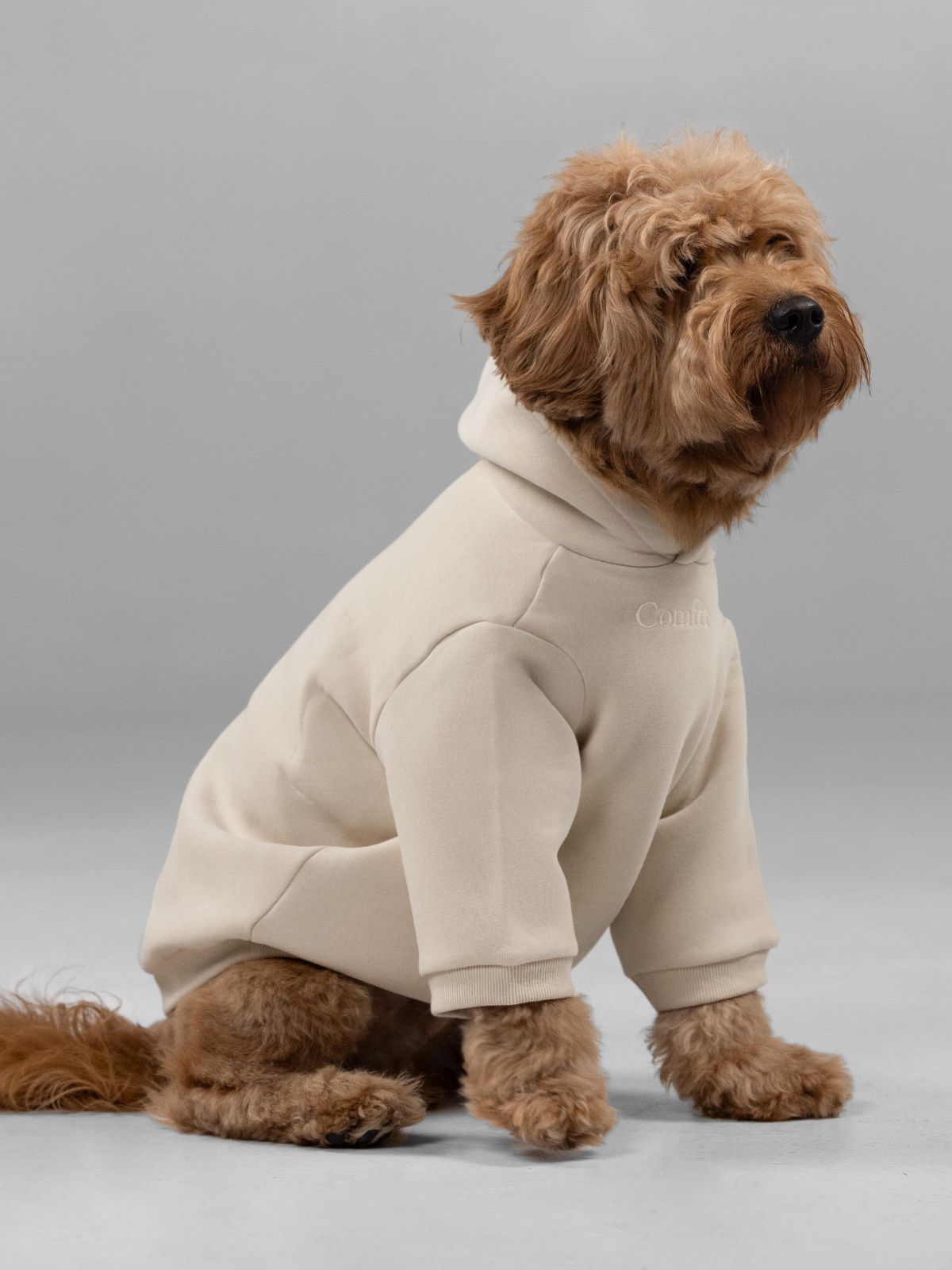 Signature Paw Hoodie -Pre Order