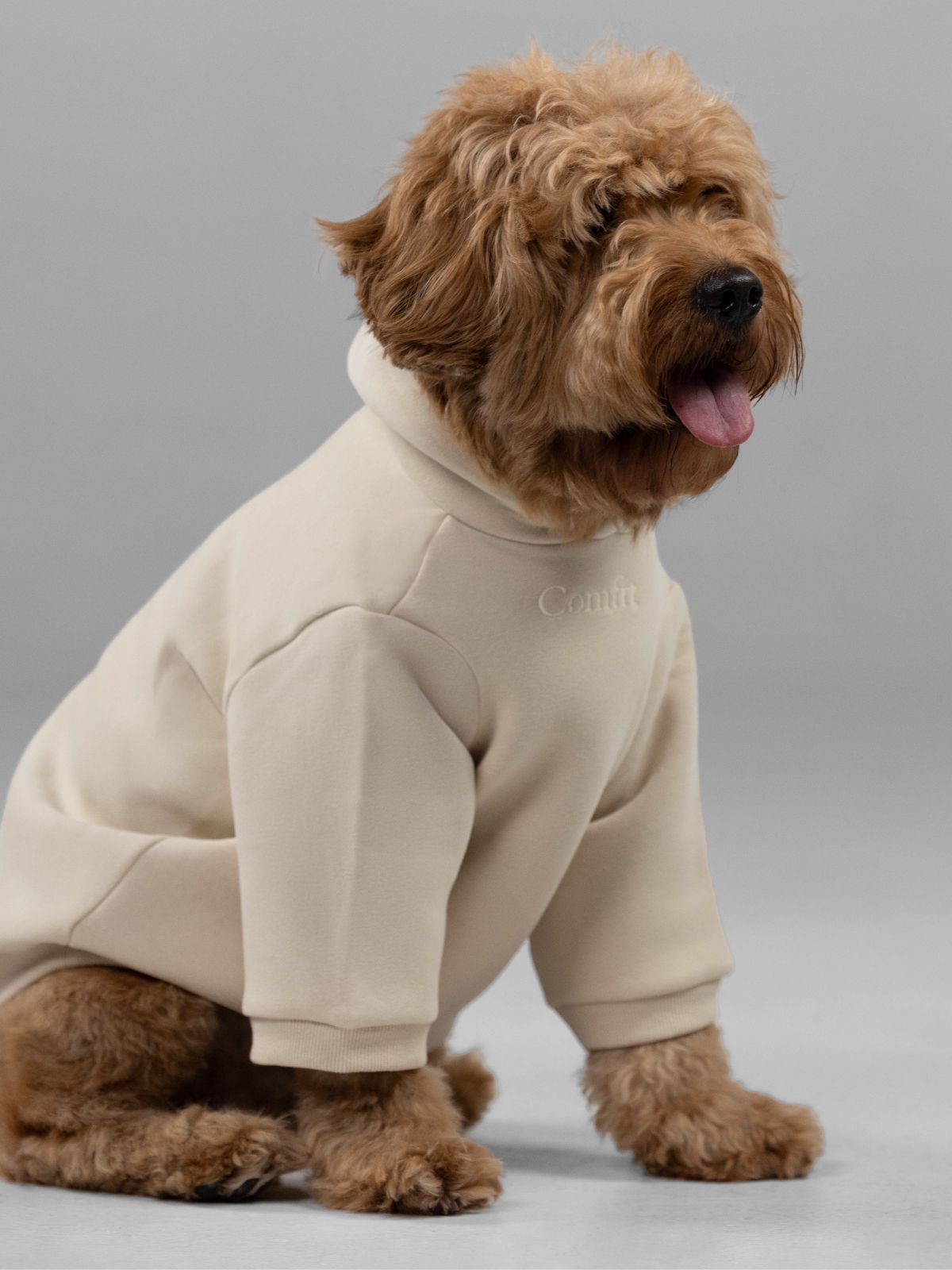 Signature Paw Hoodie -Pre Order